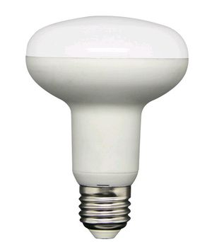 800 Lumens, 10 WATT, Blanc chaud 3 000 K