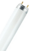 T8 Fluorescent, 18 WATT, 1350 lumens, Blanc chaud 3 000 K 