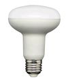 800 Lumens, 10 WATT, Blanc chaud 3 000 K