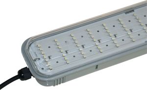 1 900 lumens, 19 WATT, Blanc pur 6 000 K