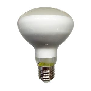 360 Lumens, 4 WATT, Blanc chaud 2 700 K